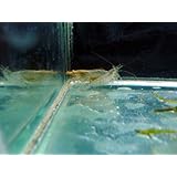 ���i�̏ڍ�