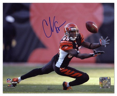 Mounted Memories Cincinnati Bengals Chad Johnson Autographed 8X10 Photo