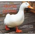 Choosing and Keeping Ducks and Geese: A Beginner's Guide to Identification, Care, and Husbandry of over 35 Species by  Liz Wright