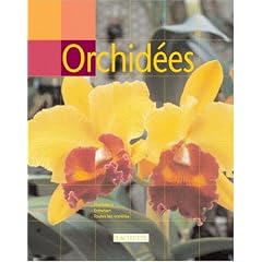 Orchid�es