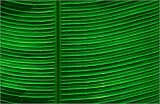 canvas Close up of wild banana leaf in rainforest. in size: 30 x 20 cm by C. Fredriksson