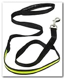 SE High Visiblity Pet Safety Illumina. 61 Dog Leash Glow In
