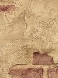 ALBENA TROMPE L'OEIL Wallpaper -SF21701 Wallpaper