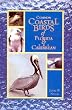 Common Coastal Birds of Florida & the Caribbean