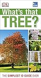 What's that tree?