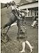 As Flying Becomes a Popular Pastime More Women Participate Photographic Poster Print,...