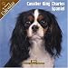 Cavalier King Charles Spaniel 2008 Wall Calendar