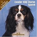 Cavalier King Charles Spaniel 2008 Wall Calendar
