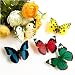 BUTTERFLY MAGNET 3P/SET�k�o�^�t���C �}�O�l�b�g�l 1 �u���[