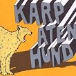 Karpatenhund #3