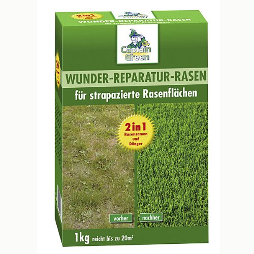 Ing. G. Beckmann GYE Wunder-Reparatur-Rasen Preisvergleich