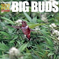Ed Rosenthal's Big Buds Calendar
