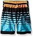 Kanu Surf Boys' Toddler Echo Stripe Swim Trunks