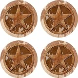 Set of Four Texas Lone Occasion Coasters Style - V9019