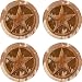Set of Four Texas Lone Occasion Coasters Style - V9019