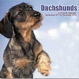 Dog Breeds