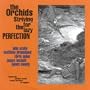Striving for the Lazy Perfection + Singles CD
