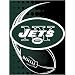 New York Jets NFL Royal Plush Raschel Blanket (Flash Series) (60