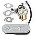 HIFROM Carburetor carb Replace for Honda GXV120 GXV140 GXV160 HR194 Lawn Mower 16100-ZE6-W01 with Air filter for GXV160 HR216 HRU216 17211-ZE7-W03