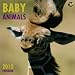 Baby Animals 2012 Calendar