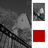 Tiffen 52mm 25 Filter (Red)