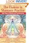 The Chakras in Shamanic Practice: Eight Stages of Healing and Transformation