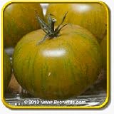 511lyOvRfXL. SL160  Heirloom Tomato Seeds   Green Zebra Vegetable Seed Packet