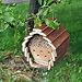 Bee and Insect Hotel