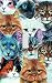 Cat Montage Decorative Switchplate Cover