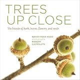 Trees up close : the beauty of bark, leaves, flowers, and seeds