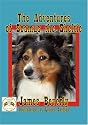 The Adventures of Seamus the Sheltie