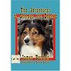 The Adventures of Seamus the Sheltie
