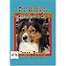 The Adventures of Seamus the Sheltie