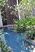 Wallmonkeys Peel and Stick Wall Decals - Swimming Pool Area - Removable Graphic