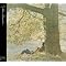 THE BEATLES as had been the album after LET IT BE