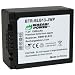 Kinamax 1500mAh DMW-BLB13 Replacement Battery for Panasonic Lumix DMC-G10, DMC-G2, DMC-GF1, DMC-GH1 - Premium Japanese Cells