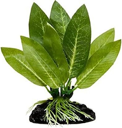 Sword Betta Plant By Blue Spotted, Great For Betta Fish W/ Betta Banquet (7 day feeder)