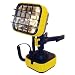 Tools & Hardware : Vector  VEC-142 Rechargeable High Intensity 12-Volt Worklight