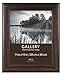 MCS 11x14 Inch Wide Wood Frame with Burnt Oak Finish, Oak (47611)
