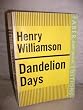 Dandelion Days