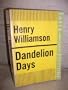 Dandelion Days