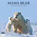 Mama Bear 2011 Polar Bear Calendar by Thomas Kokta