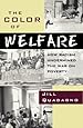 The Color of Welfare: How Racism Undermined the War on Poverty