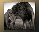 Wandbild auf echter Leinwand gerahmt LIEBE, AFRIKA, L&Ouml;WEN (love-in-Africa_90x80) Bilder fertig gerahmt mit Keilrahmen riesig. Ausf&uuml;hrung Kunstdruck auf Leinwand. G&uuml;nstig inkl Rahmen