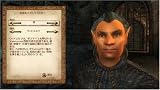 The Elder ScrollsIV:オブリビオン 画像
