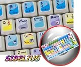 SIBELIUS KEYBOARD STICKER