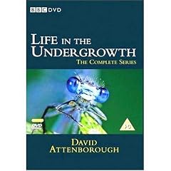 Life In The Undergrowth [DVD]