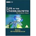 David Attenborough - Life in the Undergrowth [DVD]