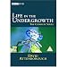 Life In The Undergrowth