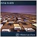 A Momentary Lapse Of Reason